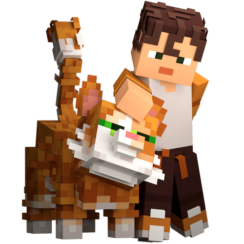 Arcania Hero Character